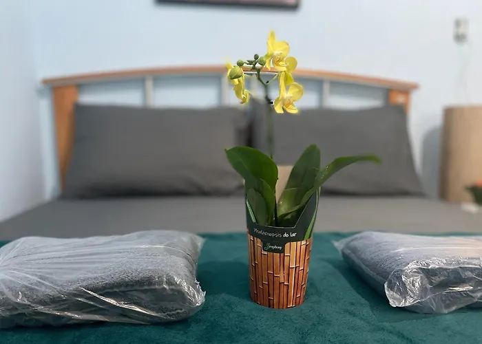 Hope Hostel Praia Do Morro